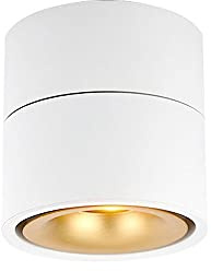 Indoor Ceiling Spotlight Adjustable Surface Mounted Spots Lighting Fixture, 7W LED Ceiling Downlight, Aluminum Directional Spotlights Accent Lamps for Kitchen Corridor (Color : White-3000K)