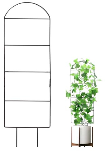 DAWCBVJQ Treillis d'Intérieur pour | Petit Support Universel Stable pour D'Intérieur | Piquets de Tuteur pour en Pot de Jardin | pour Vigne Lierre Pothos Monstera Fleur
