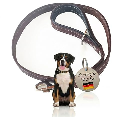 Leder Hundeleine Braun-Schwarz 1m kurz – Echtleder Führleine 2cm breit – Made in Germany – Mit Nappaleder gepolsterter Griff – Übungsleine für große Hunde – Robustes Fettleder handgefertigt