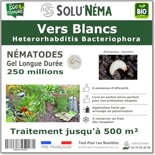 SOLUNEMA - 250 millions de Nématodes HB Contre Les Vers Blancs - Formulation professionnelle Longue Durée
