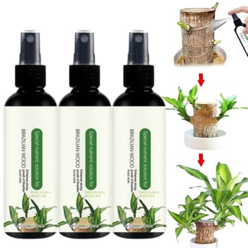 Engrais Brésilien Pour plants En Bois Chanceux – Engrais Pour plants D'intérieur En Bois Brésilien | Solution Nutritive Hydroponique En Bois Brésilien De 100 Ml Pour Bois Porte-bonheur (3 Pièces)