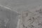 First-Tex Tischdecke Damast Jacquard Brilliant Meliert 130x260 eckig in Silber hellgrau mit gerade Saumkante