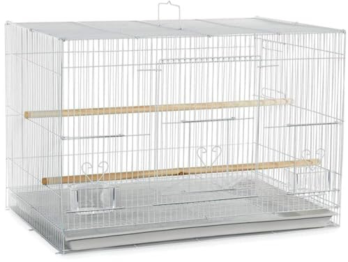 A&E Cage Co 503 Flight Bird Cage for Finches & Parakeets, 24x16x16 White