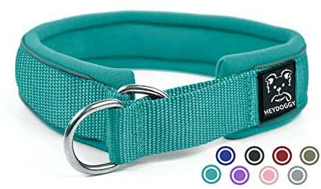 Weich Neopren Gepolstert Hundehalsband (4cm Breite) Reflektierend Hund Halsband mit Robust Nylon & Zugstopp, Bequem Zughalsband Dressurhalsband für Kleine Mittlere Große Hunde Anti-Zug Walken S,Grün