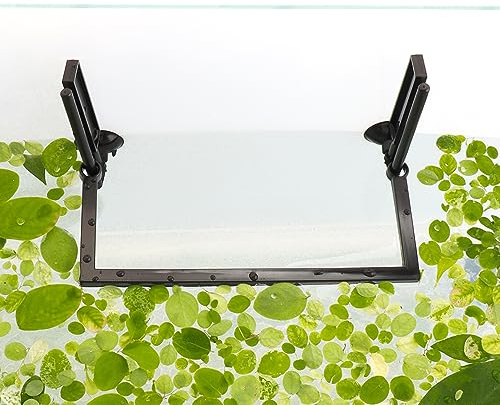 Aquarium Filter & Floating Plant Corral - Tank Accessories, Decorations with Adjustable Height Water Level, Feeding Ring (Style One)