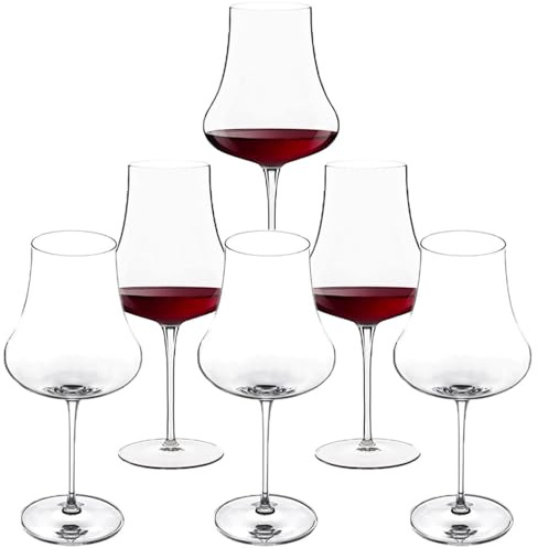 Calici per degustazione di vino rosso set da 6 bicchieri in cristallo scatolo regalo somelier da hotel ristorante tavola casa