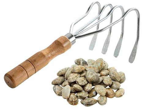 Râteau À Main Outil De Jardin | Manche en Bois pour Coquillages Et Rochers,Griffe Compacte 4 Dents pour Jardinage, Plage, Lac, Ferme, Camping, Étang Et Collecte De Coquillages