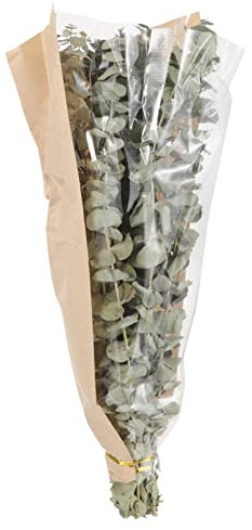 Zerodeko Getrockneter Eukalyptus Mit Lavendel Trockenblumenstrauß Für Badezimmer Pflanzendekoration Eukalyptusblätter Und Lavendelblüten Naturdeko Für Zuhause Und Hochzeitsdekoration