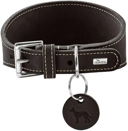 Hunter Windhundhalsband Aalborg Farbe schwarz, Robustes Softleder, ideal für Windhunde, druckverteilendes Design, Kehlkopfschonend, Made in Germany, Größe 32