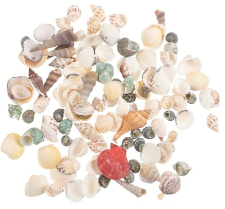 YARNOW 1 Schachtel Dekorationen für Aquarien Dekoration für Strandpartys Panzer wandverkleidung wand polsterung Muscheln zum Dekorieren Aquarium Muschel Dekoration Hülse Weiß