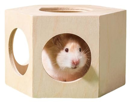 Maisons Et Cachettes pour Hamster, Jouets en Bois pour Rongeurs, Accessoires Habitat Petits Animaux Décor Cage Labyrinthe pour Cochon D Inde Lémuriens Nains Souris Chinchilla