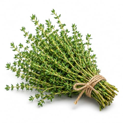 Graines de thym à semer | Graines aromatiques sélectionnées | Herbes à semer pour cuisine, potager et balcon