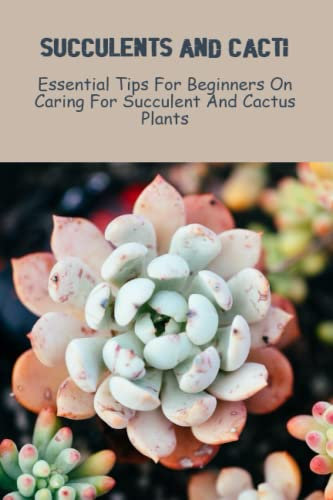 Succulents And Cacti: Essential Tips For Beginners On Caring For Succulent And Cactus Plants