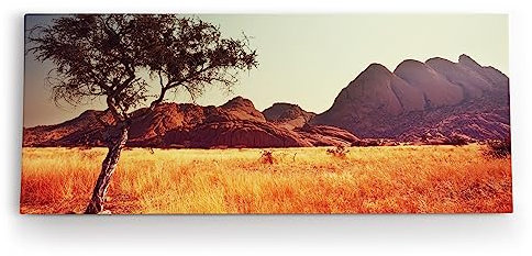Paul Sinus Wandbild 120x50cm Afrikanischen Grasland Berge Baum Natur Wildnis