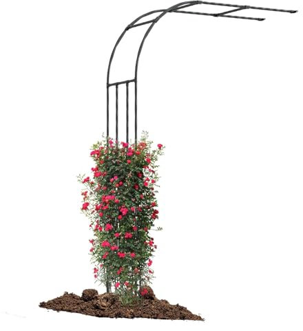 Junvstor Arche de jardin en métal pour plantes grimpantes, support de roses d'intérieur et d'extérieur, pergola, tonnelle, arc de jardin robuste (l 150 x H 240 cm)