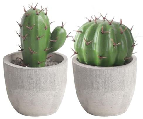HOLIDYOYO Cactus Artificial para Decoración de Escritorio en Maceta, 2 Piezas Miniatura Realista de Cemento y Plástico, Fácil Cuidado y Diseño Compacto para Oficina y Hogar