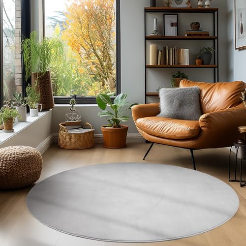 HomebyHome Waschbarer Teppich Rund 200 cm Silber Einfarbig Kurzflor Modern Weich rutschfest Pflegeleicht Maschinenwaschbar für Wohnzimmer Schlafzimmer Esszimmer