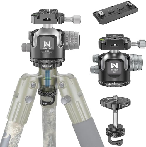55mm Low Profile Arca Ball Head & Tripod Ball Head Conversion for BOG DeathGrip, WEYLLAN CH55 & BA5 Camera Tripod Head Mount with All Metal Converter Adapter, Mlok Rail Arca Swiss Quick Release Plate