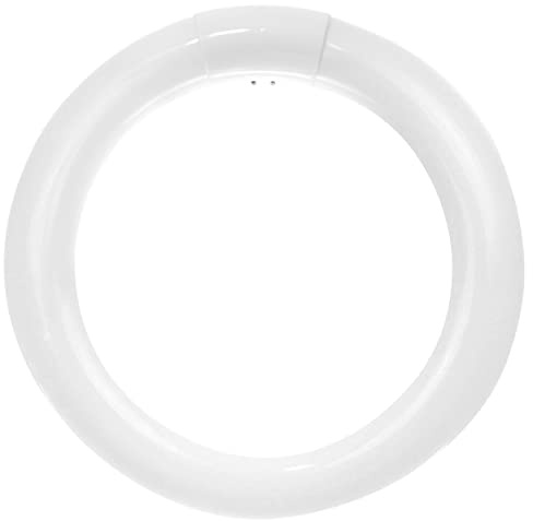 OHBULBS T9 Round Fluorescent Circline Lamp, 22 Watts, G10Q 4-Pin Base, Ceiling Light Bulb, 6500K Daylight, 1050 Lumens, Suitable for Data Centers