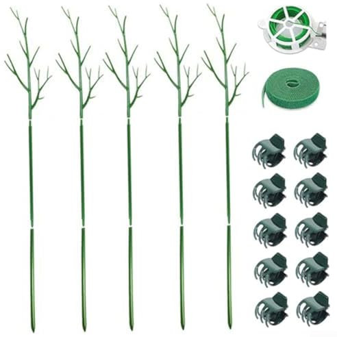 Per pali durevoli e clip per supporto piante per Monstera e Pothos (tuta)