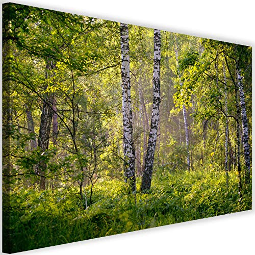Feeby Bild auf Leinwand Landschaft Kunstdruck modern Birken Lichtung Wald grün 60x40 cm