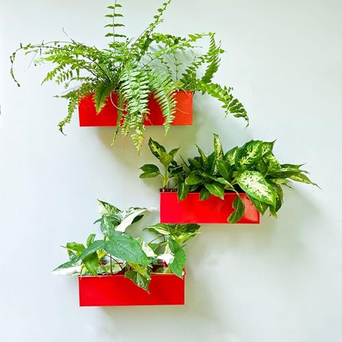 LaLaGreen Wand-Pflanzgefäß (3 Stück, 30,5 cm), große Wandhalterung, Pflanzgefäße für Sukkulenten, rot, Wandbehang, rechteckig, Metall-Blumentopf, lange Fensterkästen, festliche Jahreszeit,