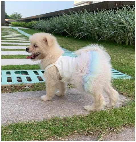 YQYS Pet Vest Dresses Dog Tutu Dress Skirts for Puppies Teacup Dog Summer Dress Sundresses for Small Dogs and Cats Puppy Clothes for Dog Girls Rainbow Large