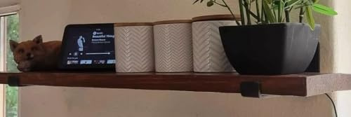 Devonshire Wood Reclaimed Scaffold Board Shelf complete with brackets 70cm long