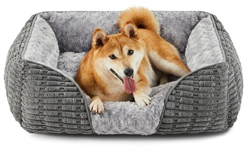Heymamba Hundebett für mittelgroße Corgi, Waschbar aus Cord, Flauschig Hundebett mit erhöhte Rändern, Französische Bulldogge, Hundesofa, Welpenbett, 64x53x20cm