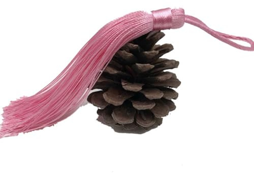 Yurosiay 10 Stück Quasten Anhänger 18cm Tassel Anhänger Mit Kordel Handgefertigte Seidige Quasten DIY Basteln Quasten Bunt Lesezeichen Quasten Groß Troddel Anhänger für DIY Projekte Rosa