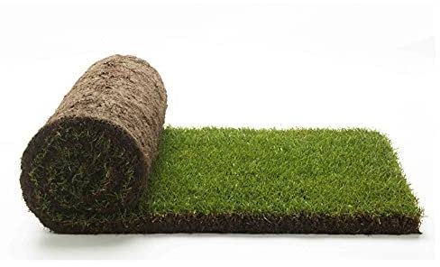 Vraie pelouse herbe - PratoErboso Shop - 2,5 m² pré à rouleaux de 1 ^ choix en herbe naturelle (5 rouleaux de 0,5 m²)