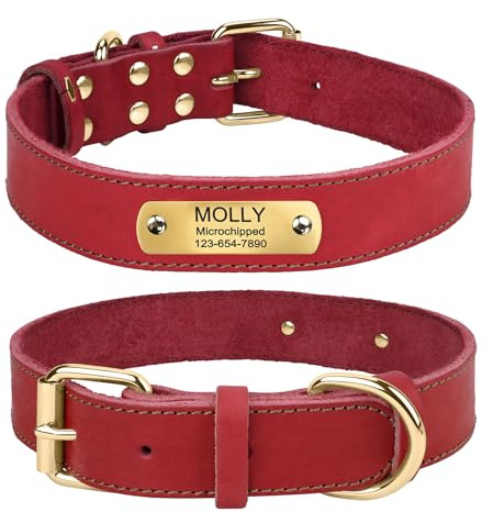 TagME Hundehalsband Personalisiert aus Leder mit Eingraviertem Hundename und Telefonnummer, Hundehalsband aus Echtem Leder für Mittlere Hunde