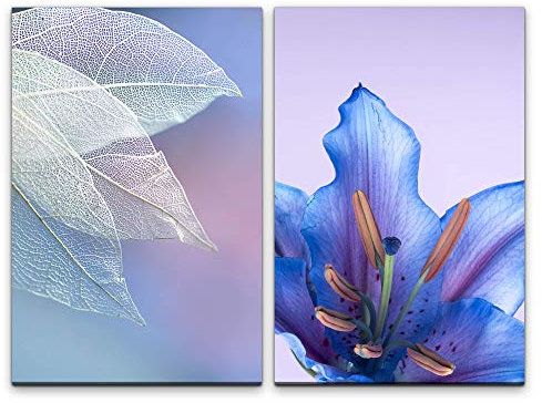 Paul Sinus Art Wandbild 2 teilig je 60x90cm Weiße Blätter blaue Blüte Hellblau Blattstruktur Dekorativ Zart Fotokunst