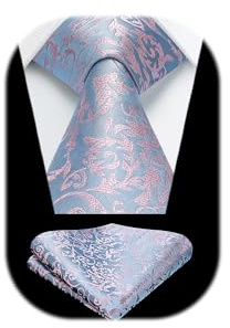 HISDERN Krawatten für Herren Hochzeit Krawatte mit Einstecktuch Paisley Formelle Klassische Herrenkrawatte und Taschentuch Set für Männer