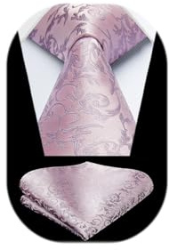 HISDERN Krawatten für Herren Hochzeit Krawatte mit Einstecktuch Paisley Formelle Klassische Herrenkrawatte und Taschentuch Set für Männer