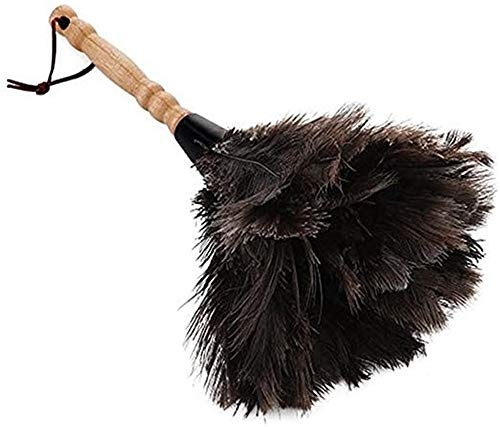Staubwedel Straußenfeder Strauß Feder Staubwischer Natur Straußenfedern for Heim & Büro (38cm)-