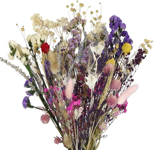 CEWUDA Trockenblumen Deko Trockenblumenstrauß Violett Set Don't Forget Me Naturliche Getrocknet Blumen Dried Flowers Pflanzen Blumenstrauß Boho Deko für Wohnzimmer Home Hochzeit Vasen Tischdeko