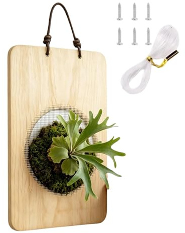 Soporte Montaje para Helechos Cuerno de Alce - Marco soporte vertical madera para helecho cuerno de ,Macetero colgante pared | Para Porche Salón Dormitorio Balcón Patio Jardín Hogar Exterior e