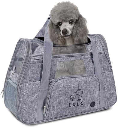PETCUTE Hundetransportbox,Atmungsaktive Katzen Tragetasche Katze transportbox Tragetaschen mit Weicher Matratze, Stoff Oxford Haustiertragetasche mit Schultergurt,Airline Zugelassen Grau