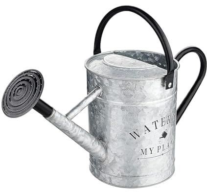 Annaffiatoio in metallo galvanizzato da 4 litri con beccuccio staccabile, vaso per acqua da giardino resistente alla ruggine per piante d'appartamento e fiori