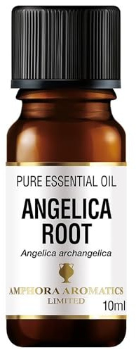 Amphora Aromatics Angelica Root Essential Oil 10ml