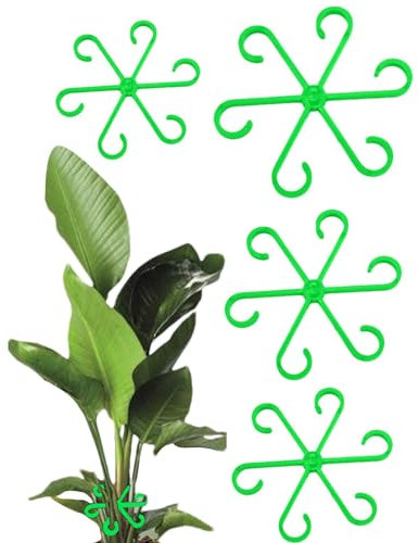 Alocasia Monstera - 4 clip di supporto per piante, supporto verticale per piante | supporto per piante rampicanti Monstera Grow gancio per piante eretto per orchidee, fiori