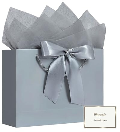 JEKRWNOY 2 Stück Geschenktütchen,Geschenktüte Papiertüten mit Schleifenbändern-2 Grußkarten Geschenkverpackung Geburtstag Geschenktaschen mit Henkel Geburtstagstüten Sydney Papier(Silver)