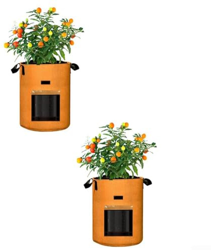 Sacs de culture en tissu gallon pour plantes de jardin, sacs de culture pour pommes de terre, carottes, tomates (orange-L)