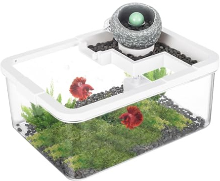 Hqunjikp Petit aquarium de bureau | Petit aquarium ancien avec pompe USB et lumière pour aquaponie récif méduse Betta bureau, bibliothèque, chambre à coucher, hôpital, studio