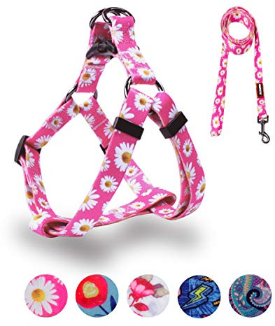 QQPETS Dog Harness Leash Set Adjustable Heavy Duty No Pull Halter Harnesses for Small Medium Large Breed Dogs Back Clip Anti-Twist Perfect for Walking (XS(12-18 Chest Girth), Daisy)