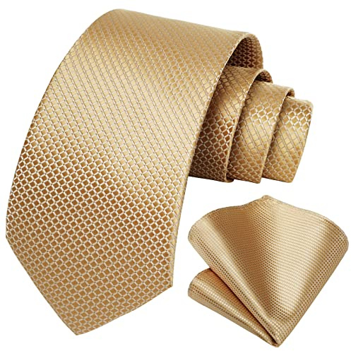 HISDERN Herren Krawatte Hochzeit Gold Plaid Krawatten Taschentuch Blumen Elegant Klassisch Krawatte & Einstecktuch Set
