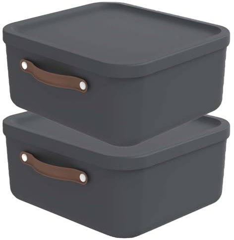 Rotho Maloja Aufbewahrungsbox mit Deckel 2 x 20 L Kunststoff Anthrazit | Aufbewahrungsboxen, stapelbar, mit Trageriemen, pflegeleichter Kunststoff, für Kinderzimmer, Bad, Küche und Wohnbereich