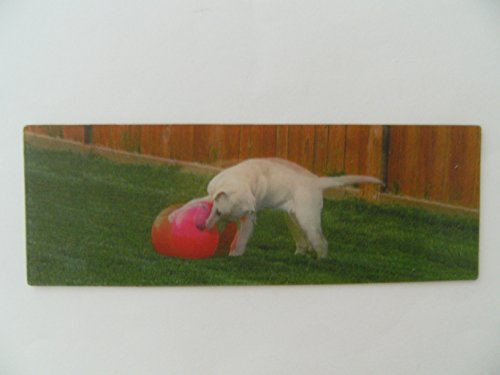 1x 3D Lesezeichen Hund Ball 15x5cm Tier Wackelbild Wackelkarte Buchzeichen Bookmark Bücher Buch