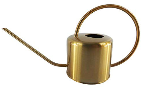 Arrosoir en métal, 1300 ml / 1,3 l vintage style français à longue bouche pour intérieur et extérieur